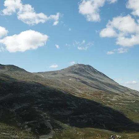 Gaustatoppen 샬레 *